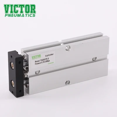 China Manufacturer of Tn Series Double Shaft Pneumatic Cylinder